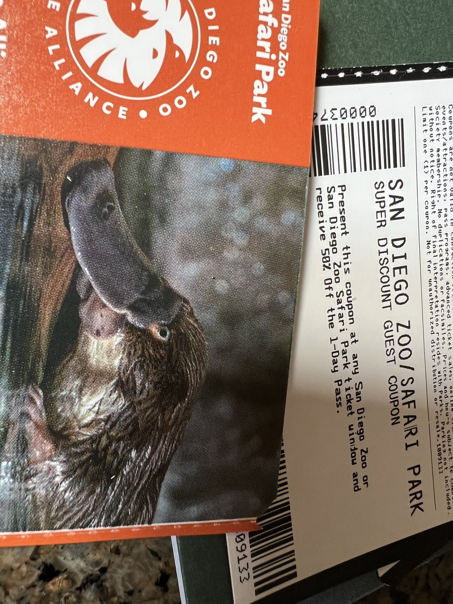 Zoo or Safari Tickets