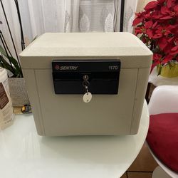 Sentry Safe 1170 Security Letter Hanging Files Key Fire Safe .61 Cu ft