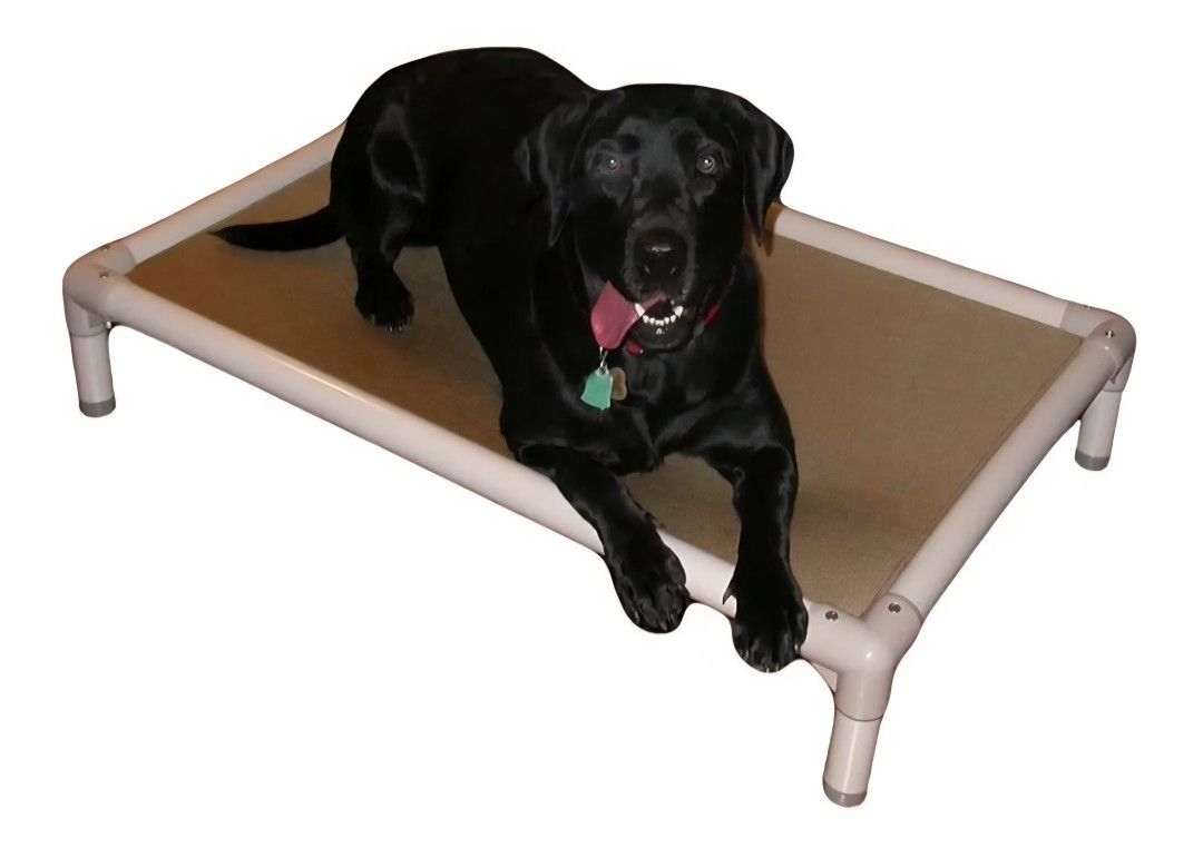 Kuranda Chewproof Bed - Almond PVC - 36x22", 6"T, Birch as pictured in second photo