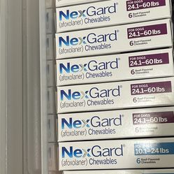 Flea and Tick Shampoo