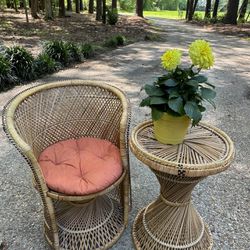 Wicker Accent Chair & Table 