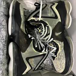 LEBRON XXX