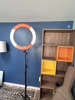 Neweer Lighting Set, Audio Technica Mic and Swinging Arm Stand