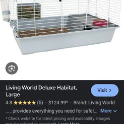 Hamster Or GUINEA  Pigs, Rabbits 