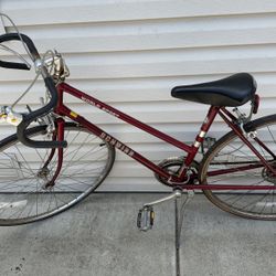 Schwinn Old Bike