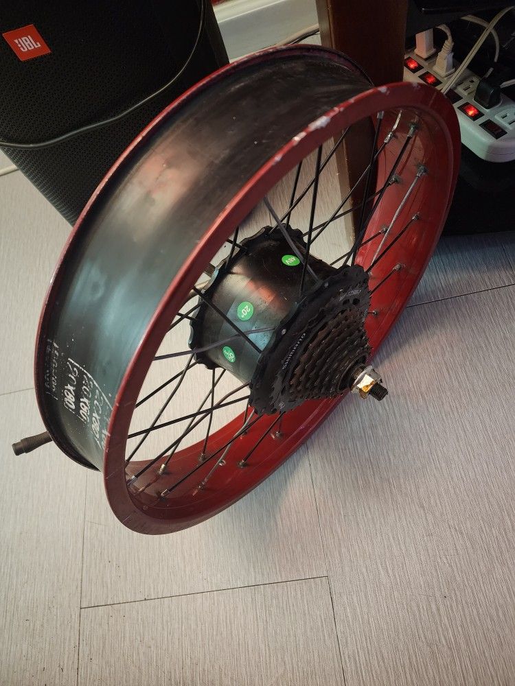 Electric Rim Motor