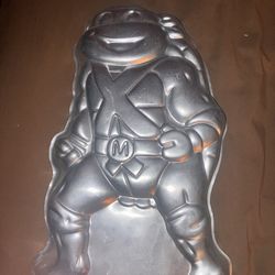 Ninja turtle cake pan