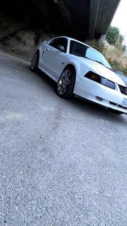 2000 Ford Mustang