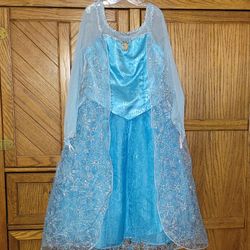 Girl's Youth Size 10/12 Disney Parks Frozen Elsa Princess Halloween Costume Excellent Condition PRICE Is Firm 