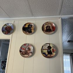 Dachshunds Porcelain Plate Collection