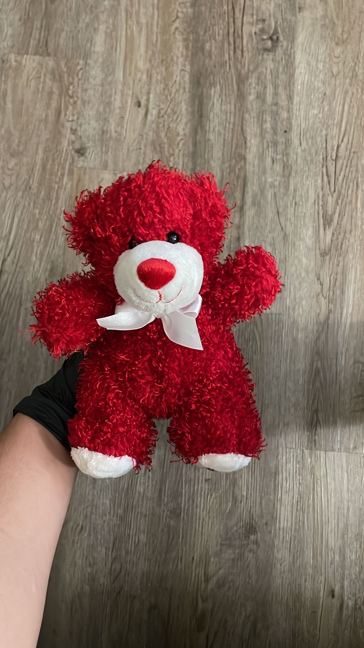 Teddy Bear