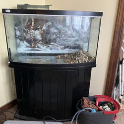 55 Gallon Fish Tank Fish Included