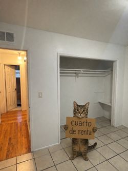 Cuarto renta