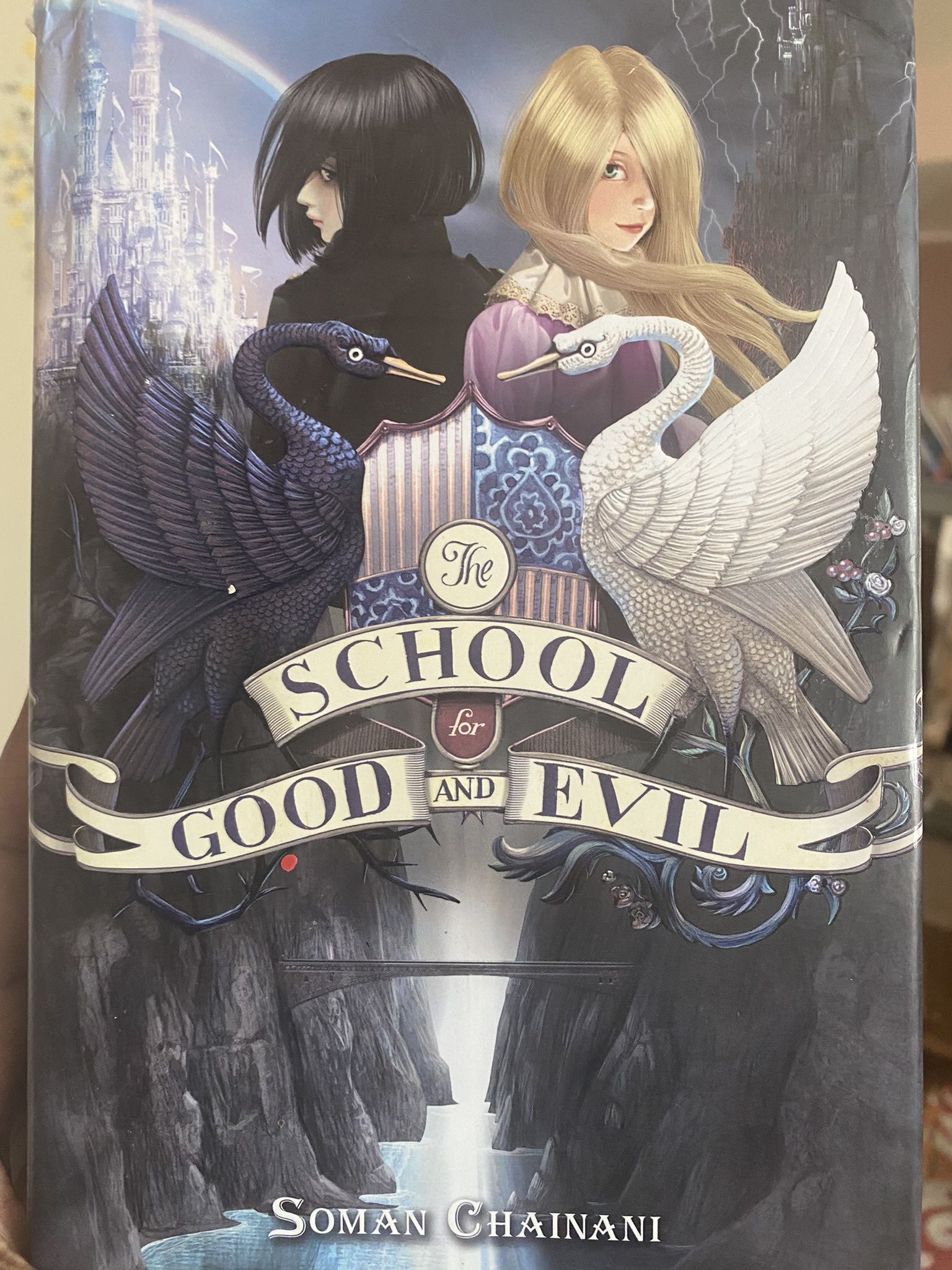 School for evil and Good Book