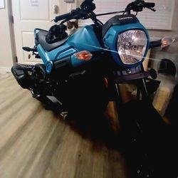 Honda Navi 