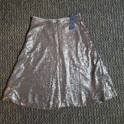 Ann Taylor Skirt