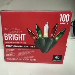 Multicolor Light Set - 100 lights 
