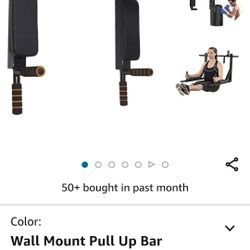 Pull Up Dip Station Wall Mount