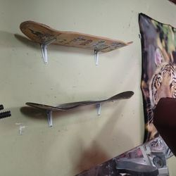 skateboard shelves
