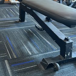 Black Bench Press 