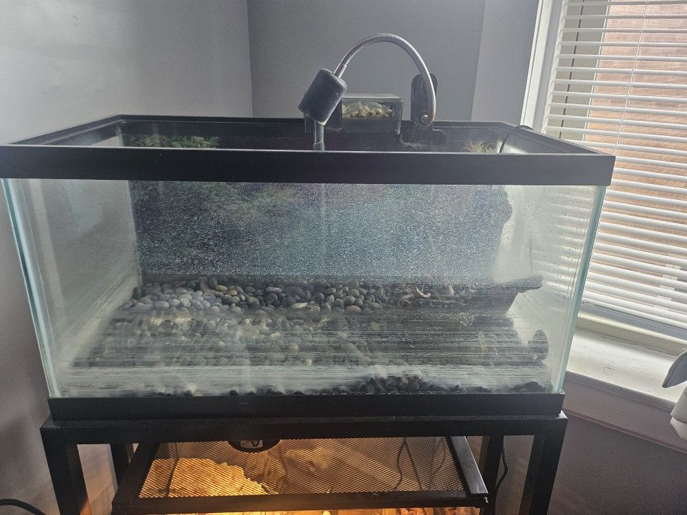 15 Gallon Tank With Accessories