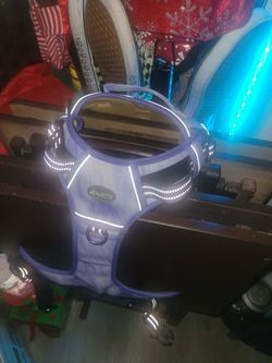 Large Purple Dog Harnes