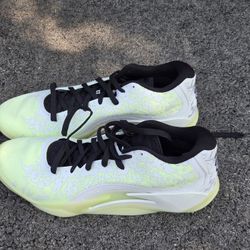 Air GOAT  Size 12