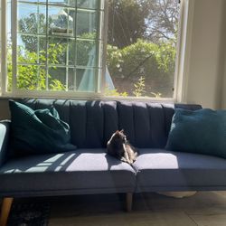 Free Futon Couch  