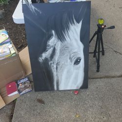 24x36 horse Canvas Painting 