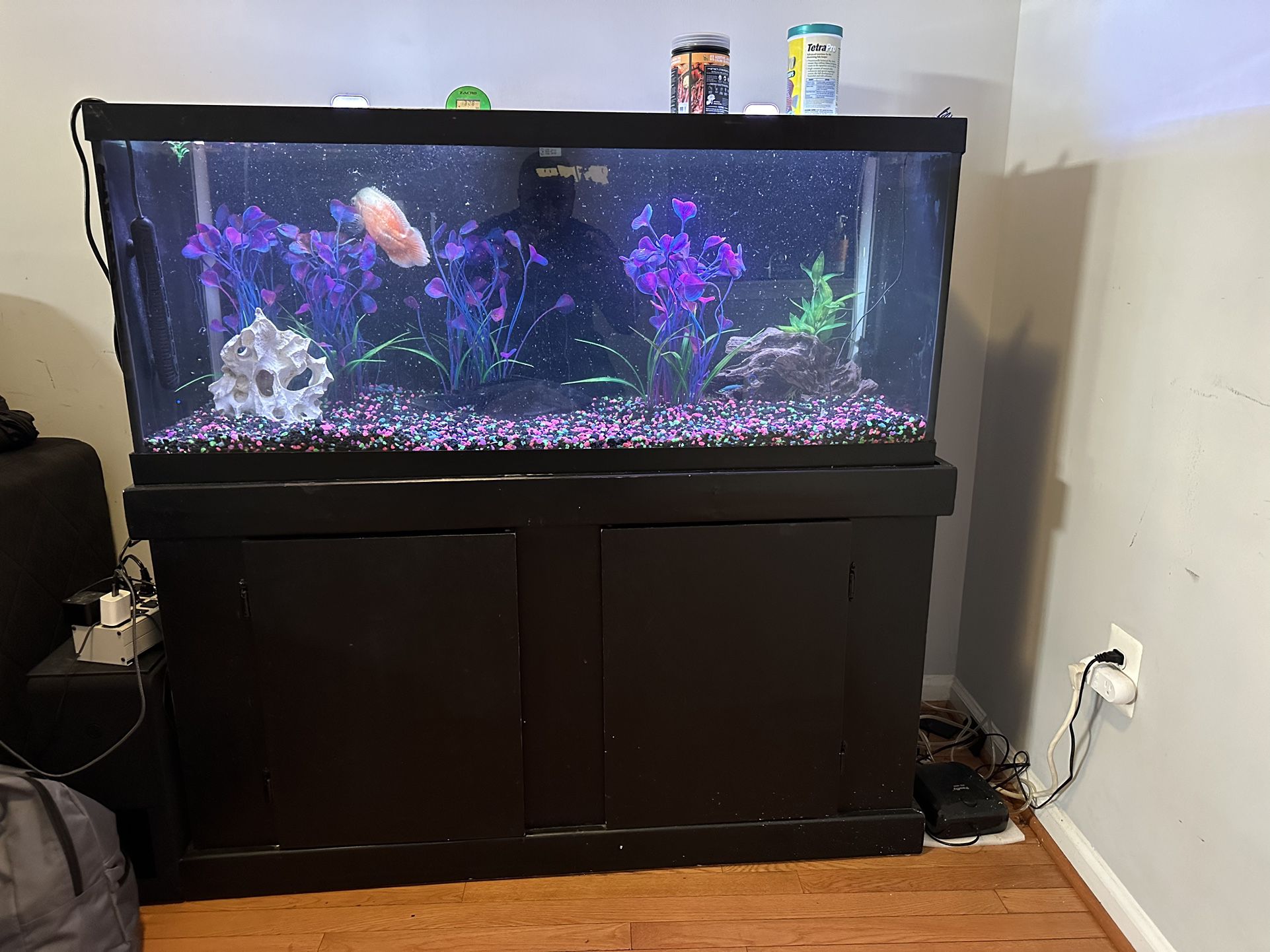 75 Gallon Fish tank with Stand