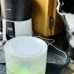 Automatic Pet Water Fountain