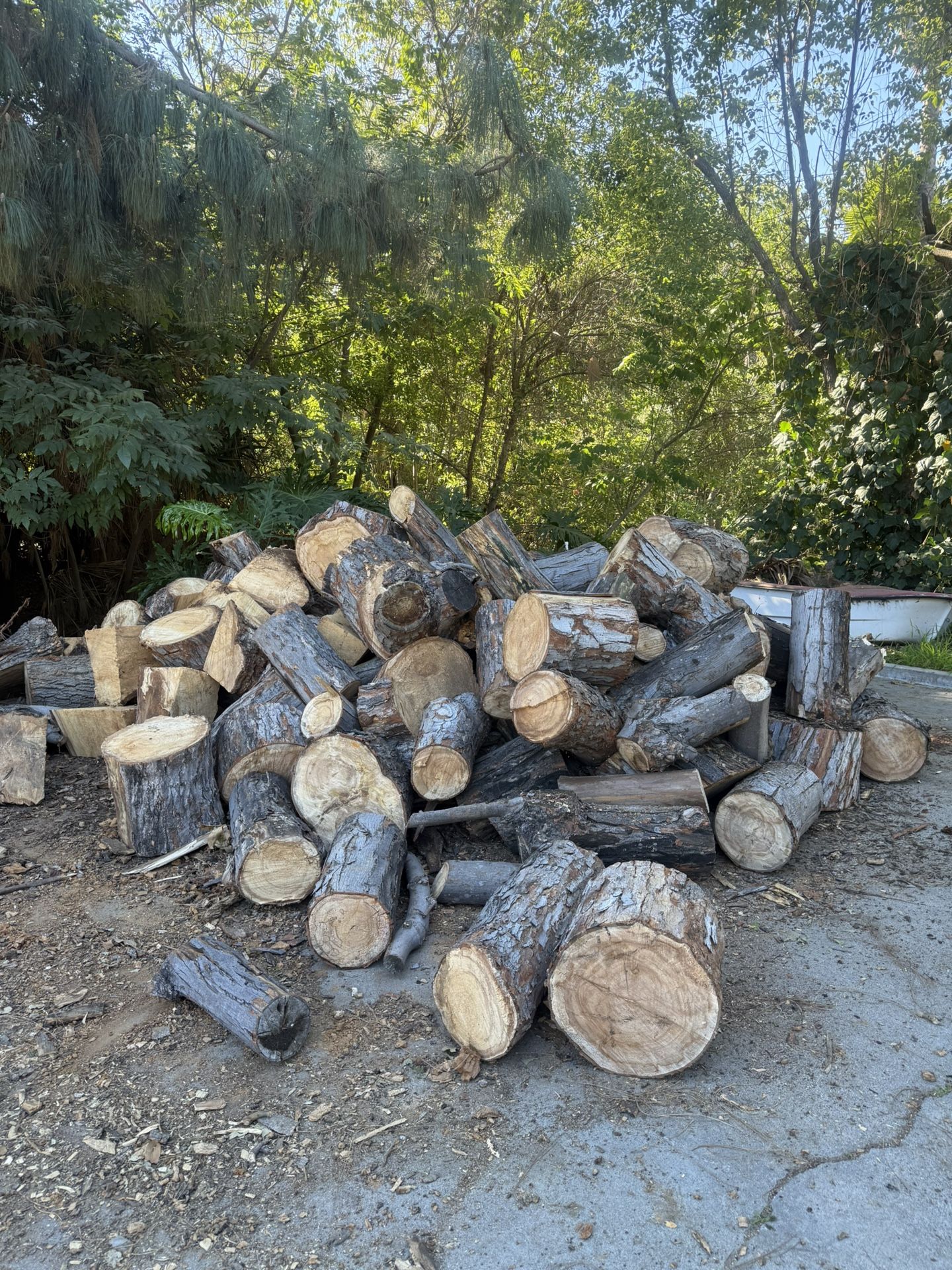Maple Firewood $60 A Truck Load
