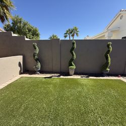 Spiral Topiary Trees – Outdoor Planters