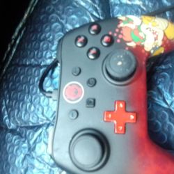 Nintendo Wired Controllers