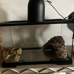 Iguana/lizard Tank 
