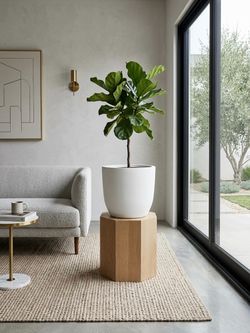 Concrete Planter