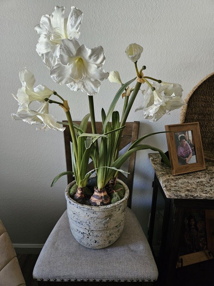 Decorative Fake Plant