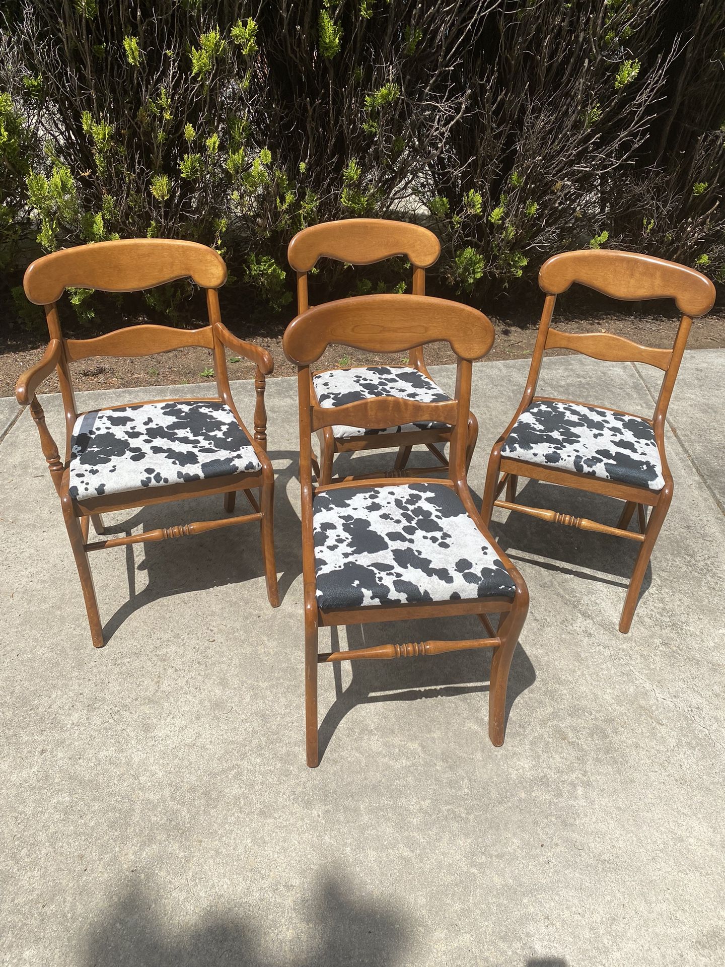 Dining Chairs