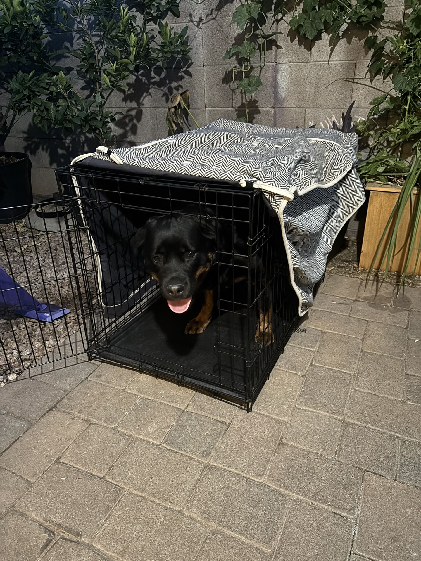 Large Dog Kennel And Cover