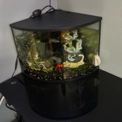 Corner Fish Tank 