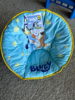 Bluey Chair
