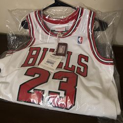 Authentic Jordan Bulls Jersey