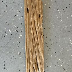 Driftwood   