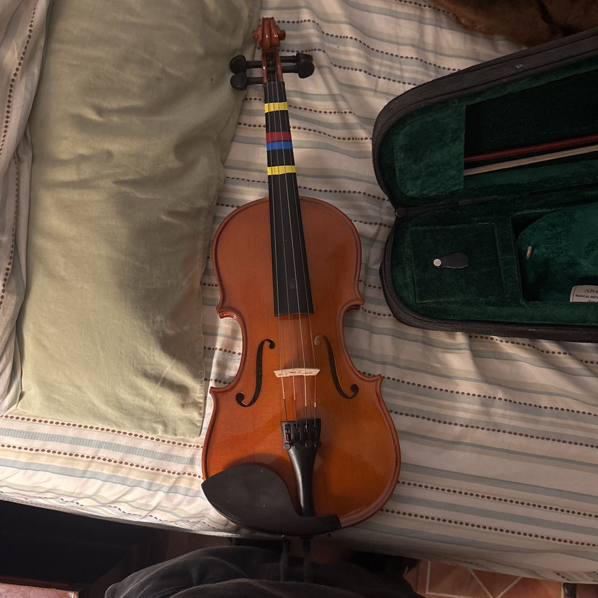 Violin