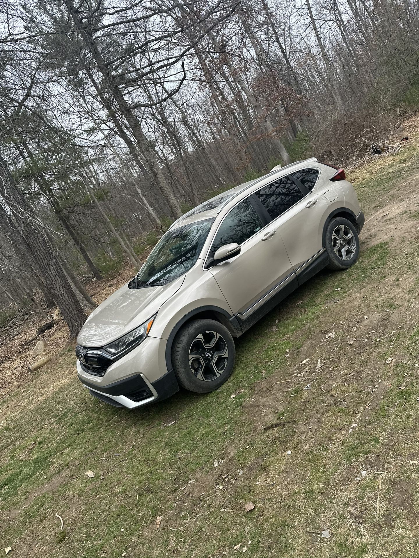 2019 Honda Cr-v