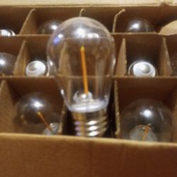 Feit Electric 1 Watt Led  Clear Finish 120 Volt  $2 A Bulb Or $25 For All 16 Of Them  All Of Them Is New 