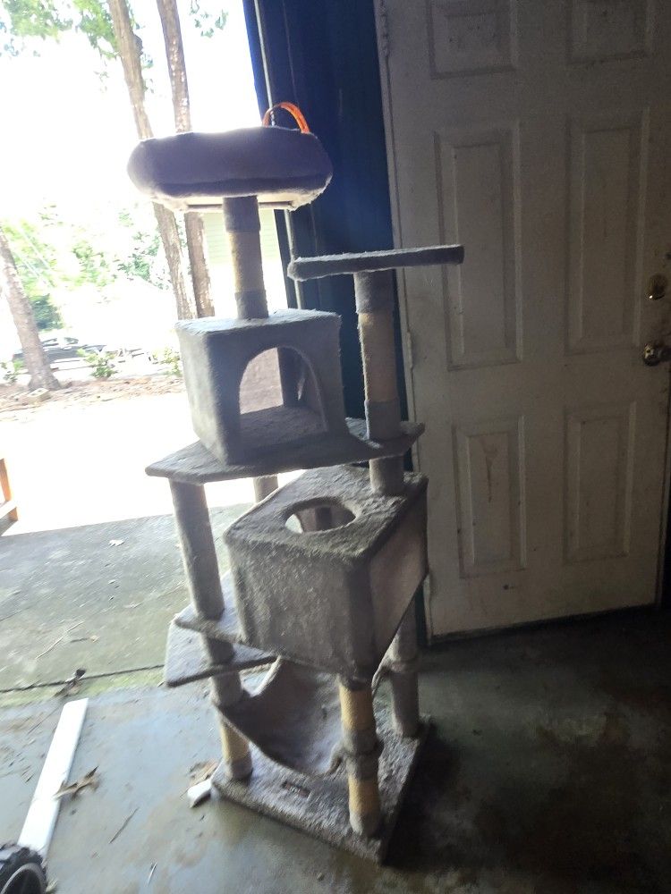 Cat Play Ground
