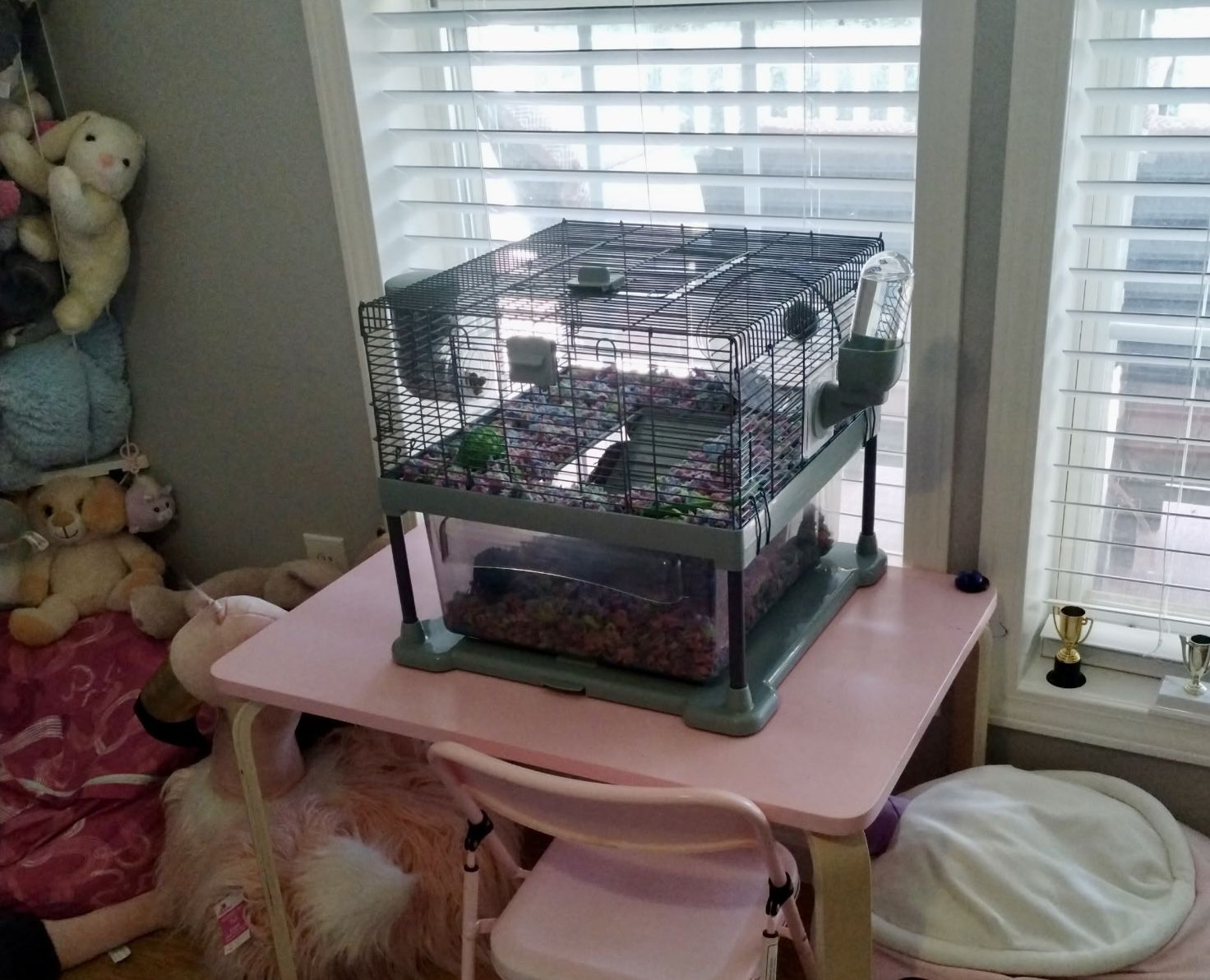 Hamster Cage