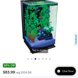 10 Gallon Fish Tank