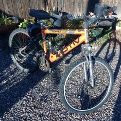 Mountain Bike